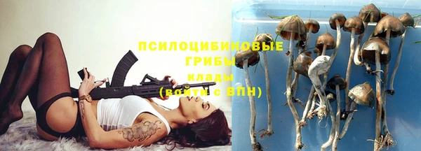 дживик Лагань