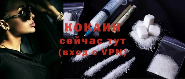 дживик Лагань