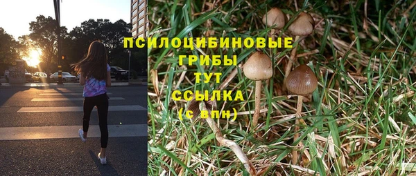 гашиш Ладушкин