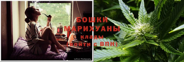 дживик Лагань