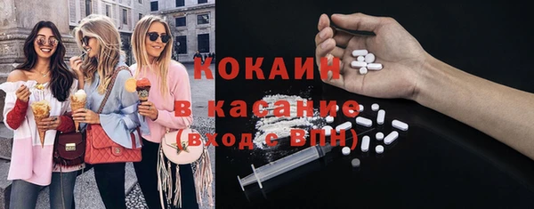 дживик Лагань