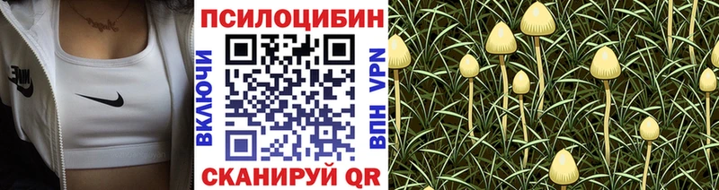 blacksprut зеркало  Кохма  Галлюциногенные грибы мицелий  как найти  