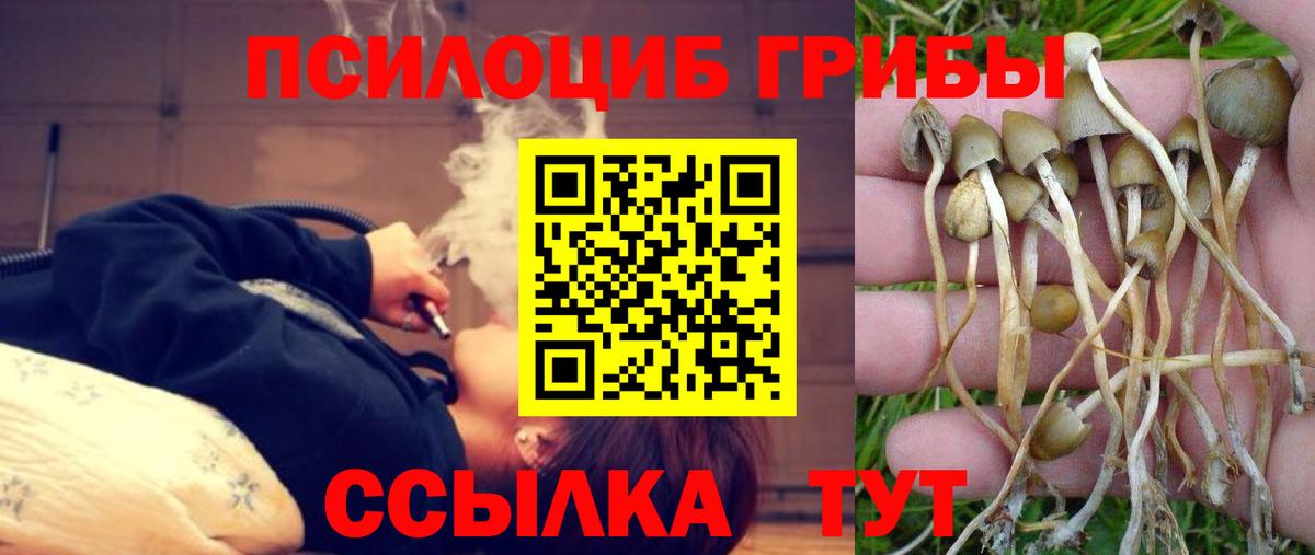 Галлюциногенные грибы Cubensis Кохма